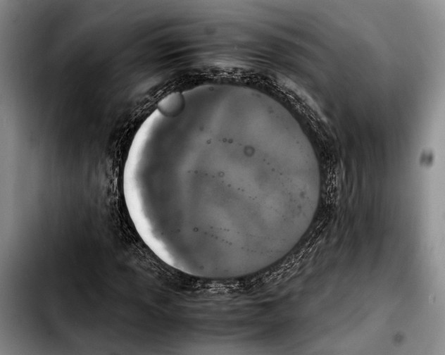 X0000103901013200810101240