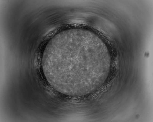 X0000103901014200810101240