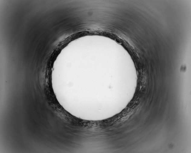 X0000103901016200810101240