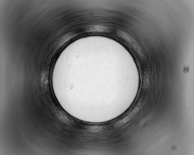 X0000103901017200810101240