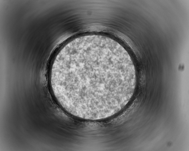 X0000103901018200810101240