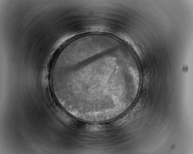 X0000103901019200810101240