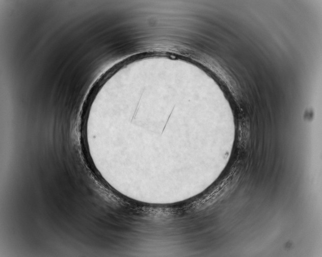 X0000103901020200810101240