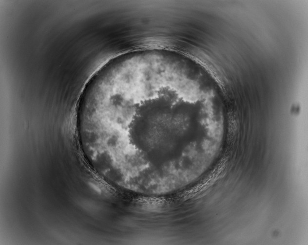 X0000103901023200810101240