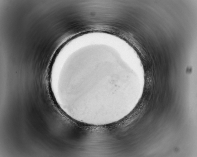 X0000103901024200810101240