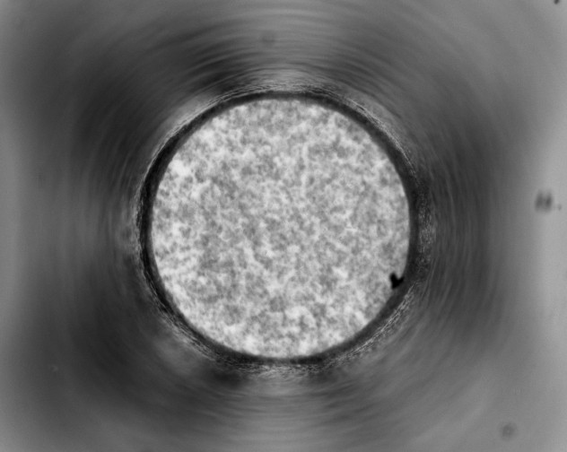 X0000103901026200810101240