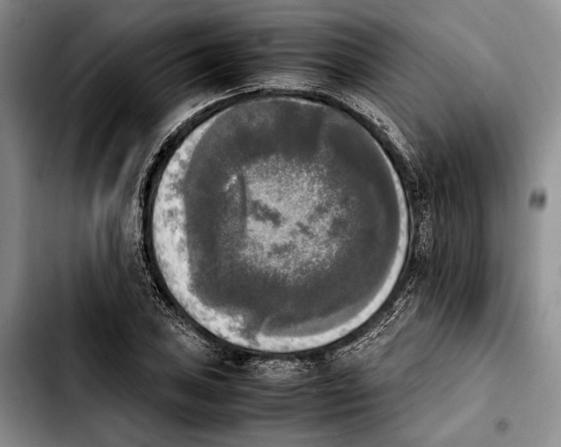 X0000103901027200810101240