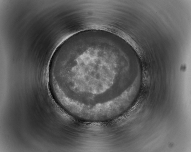 X0000103901028200810101240