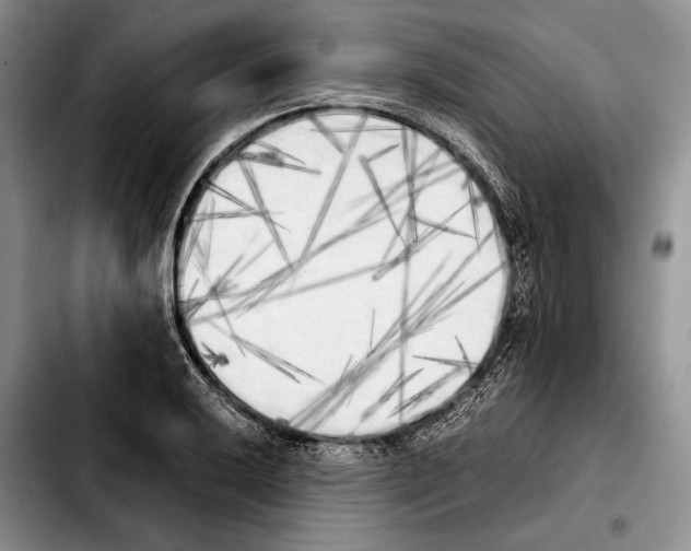 X0000103901032200810101241