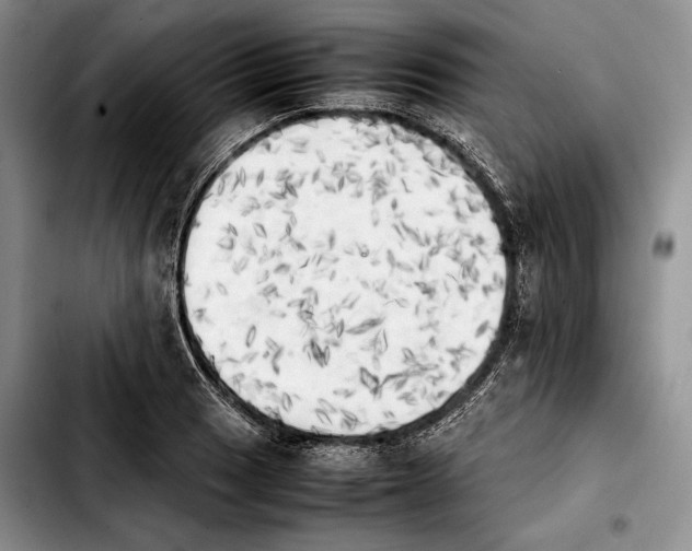 X0000103901033200810101241