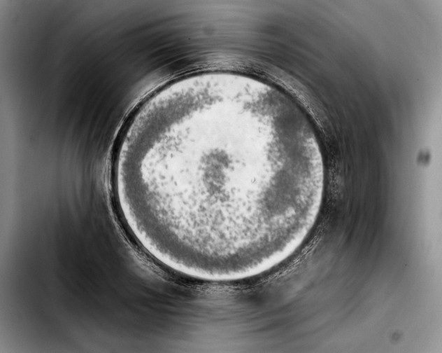 X0000103901034200810101241