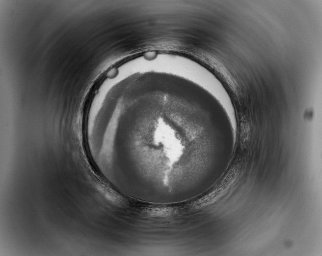 X0000103901035200810101241