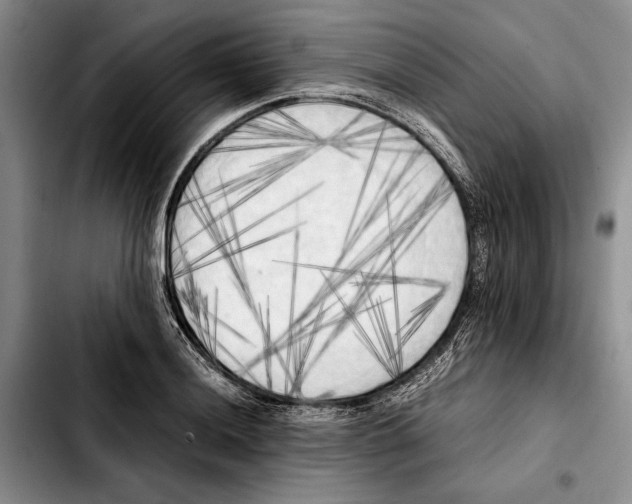 X0000103901036200810101241