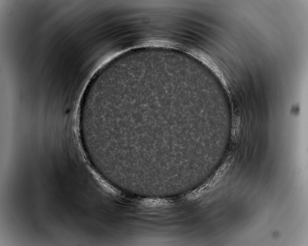 X0000103901037200810101241