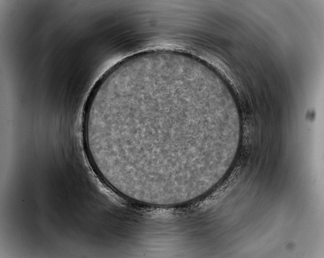 X0000103901038200810101241