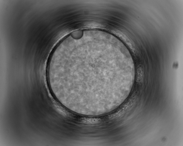 X0000103901039200810101241