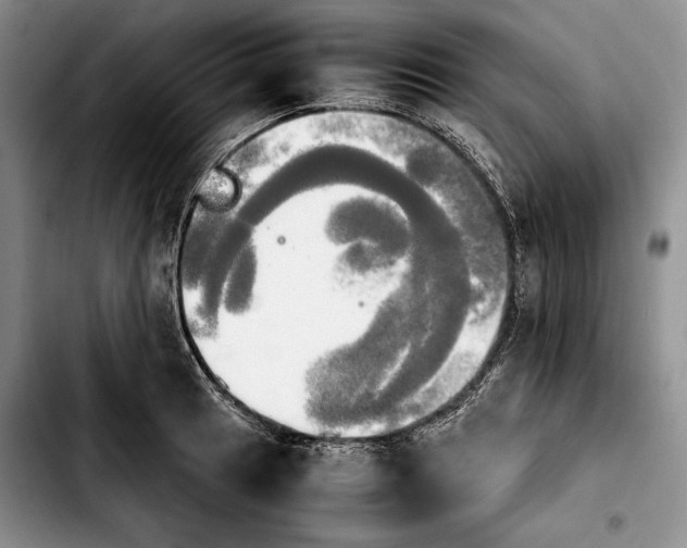 X0000103901041200810101241