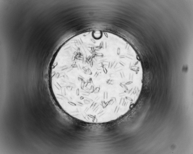 X0000103901042200810101241