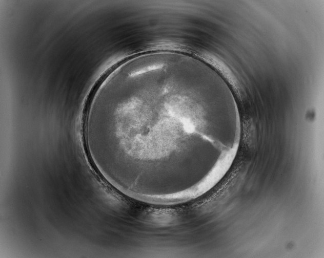 X0000103901043200810101241