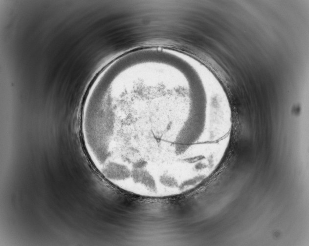 X0000103901044200810101241