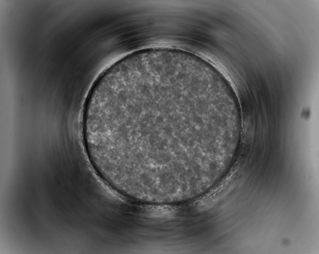 X0000103901045200810101241