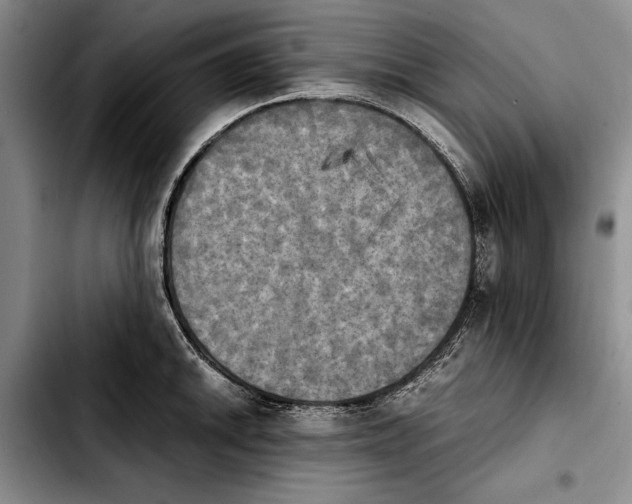 X0000103901046200810101241