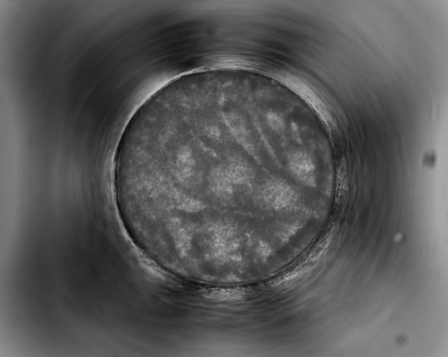 X0000103901047200810101241