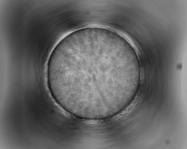 X0000103901048200810101241