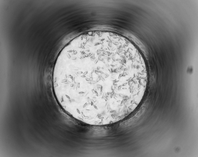 X0000103901049200810101241