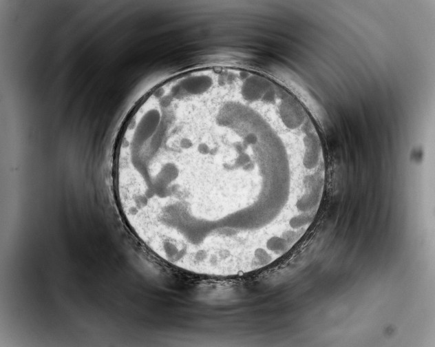 X0000103901051200810101241