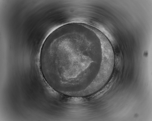 X0000103901052200810101241