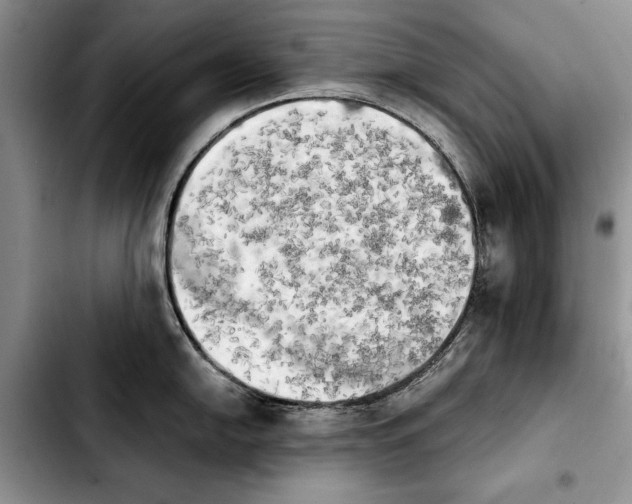 X0000103901054200810101241