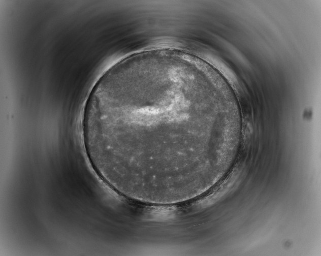 X0000103901055200810101241