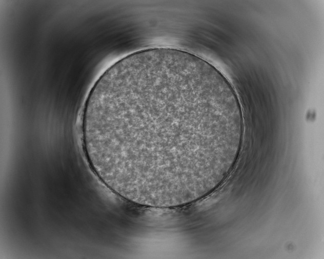 X0000103901056200810101241