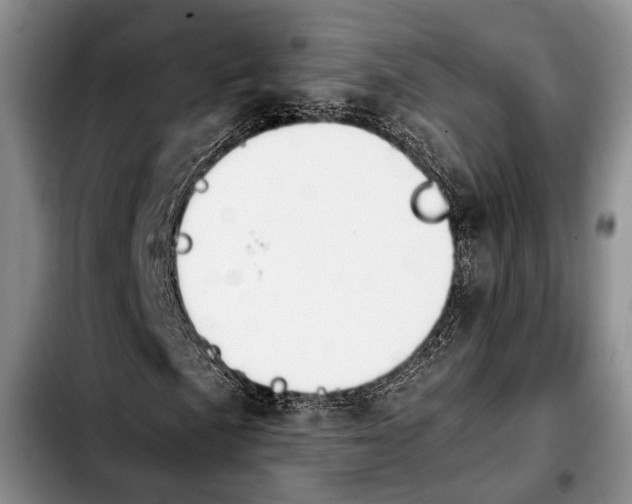 X0000103901057200810101240