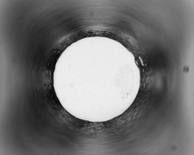 X0000103901062200810101240