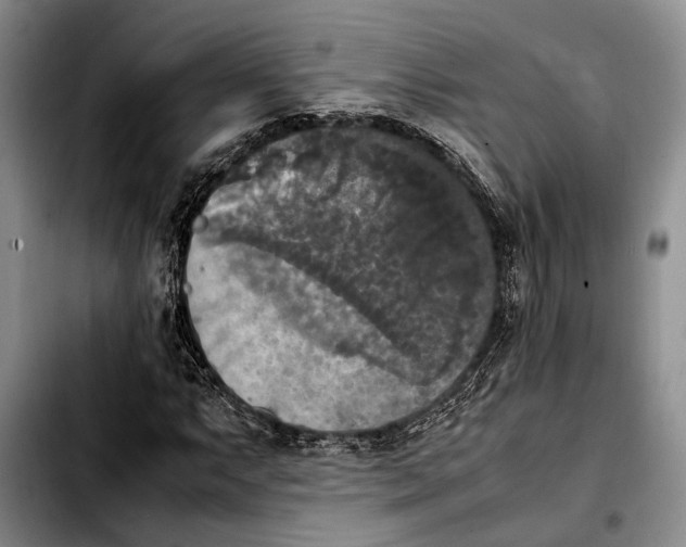 X0000103901063200810101240