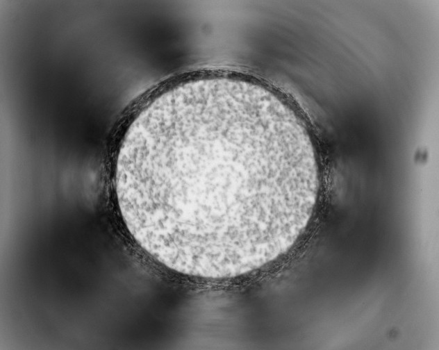 X0000103901064200810101240