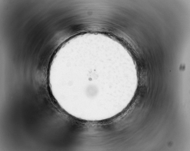 X0000103901065200810101240