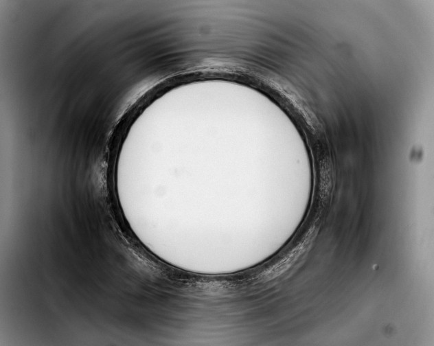 X0000103901066200810101240