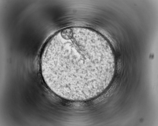 X0000103901067200810101240