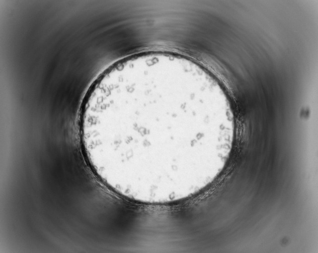 X0000103901068200810101240