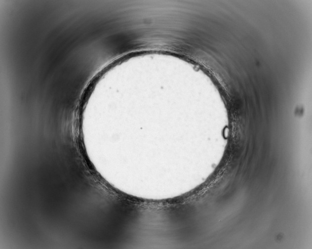 X0000103901069200810101240