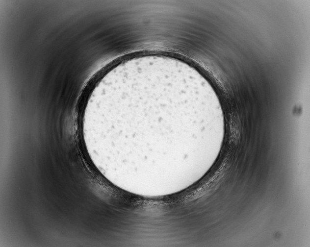 X0000103901070200810101240