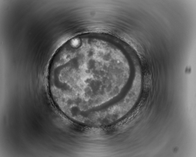 X0000103901071200810101240