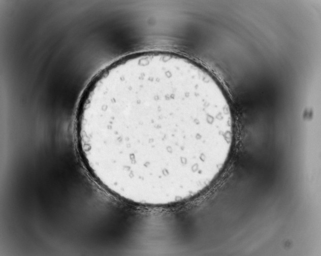 X0000103901072200810101240