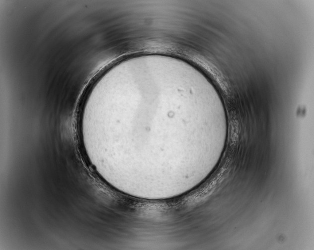 X0000103901074200810101240