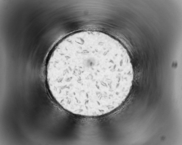 X0000103901075200810101240