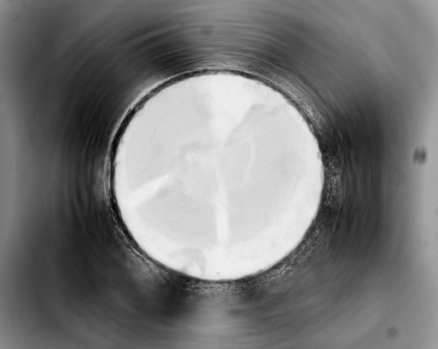 X0000103901076200810101240