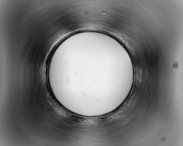 X0000103901078200810101240